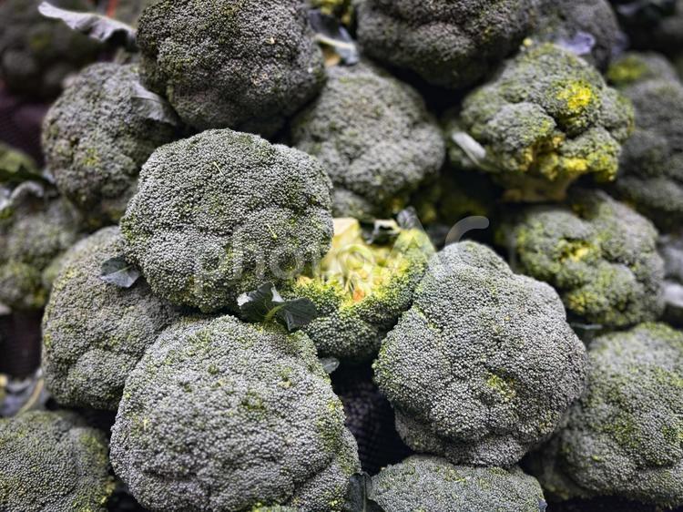 市場に積まれた新鮮なブロッコリーの野菜 ブロッコリー,野菜,健康の写真素材