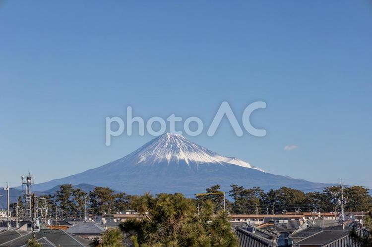 みほしるべ屋上から見た三保松原と富士山 三保松原,みほしるべ,屋上の写真素材