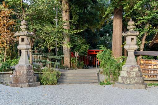 奈良 鴨都波神社 稲荷神社の鳥居 奈良 鴨都波神社 稲荷神社の鳥居 鴨都波神社,下鴨社,神社の写真素材