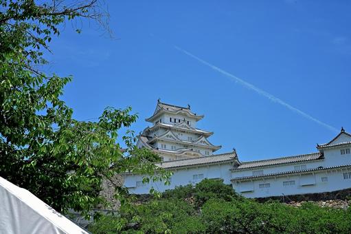 真っ青な世界に浮かぶ姫路城の勇姿 姫路城,青空,観光の写真素材