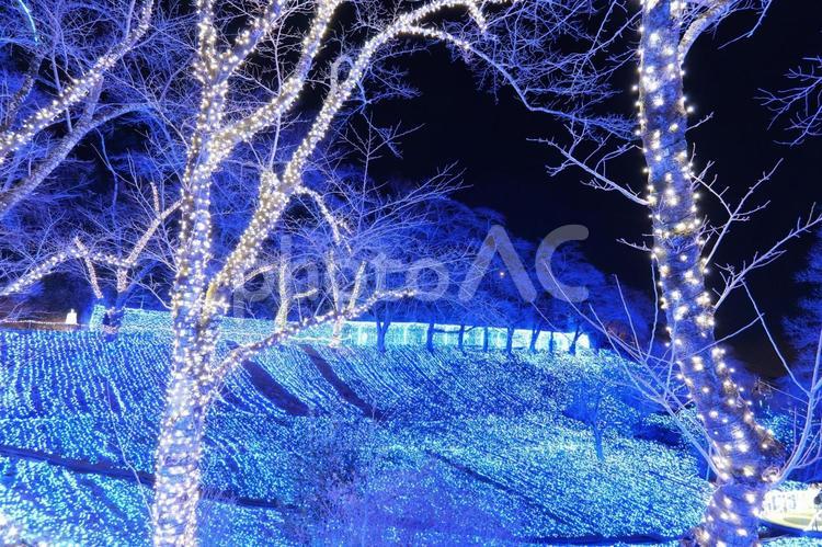 さがみ湖イルミリオンのイルミネーション さがみ湖morimori,さがみ湖イルミリオン,イルミネーションの写真素材