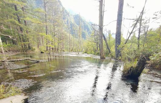 川と白樺 風景,自然,白樺の写真素材