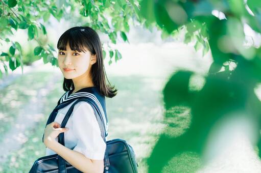 夏服の女子高生と校庭の緑 高校生,夏,女子高生の写真素材