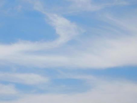 【風景写真】夏空 【風景写真】夏空の写真
