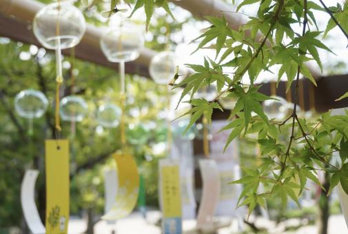 Maple leaves and wind chimes, JPG