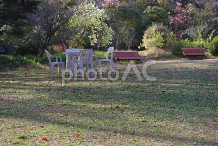 テーブル　椅子　公園　昼下がり　木陰 テーブル,椅子,公園の写真素材