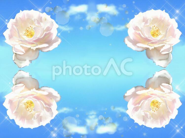 薔薇の枠 お祝い,お花,キラキラの写真素材