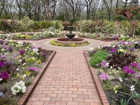 Photo, flower, flower bed, park, 
