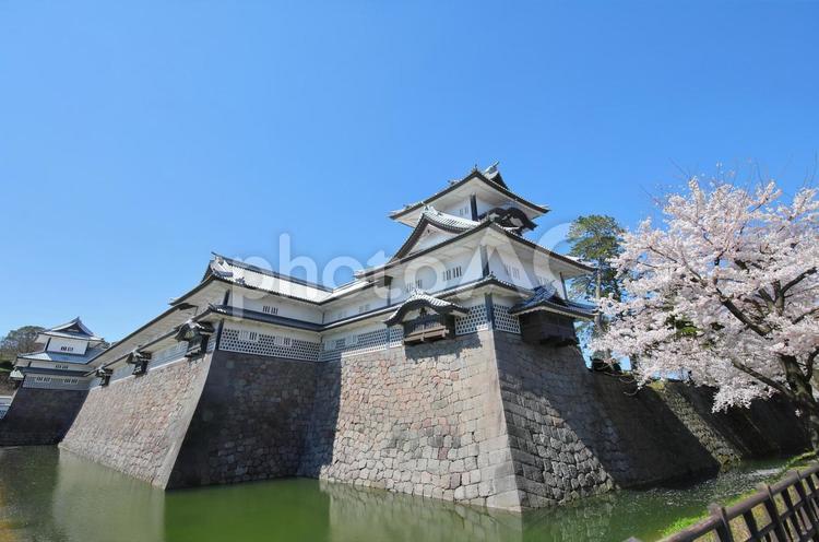 金沢市の金沢城と桜 金沢城,城,金沢の写真素材