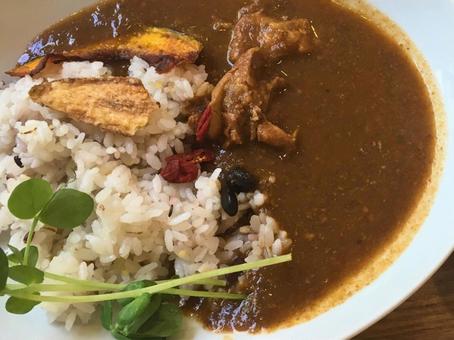 カレーライス カレーライス カレー,スパイス,カレーライスの写真素材