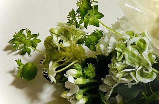 花 花の写真