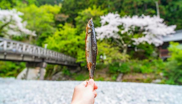 串刺しにした魚のヤマメの塩焼きを手に持つ 串刺しにした魚のヤマメの塩焼きを手に持つの写真