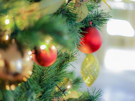 クリスマスツリー② クリスマスツリー,12月,ライトの写真素材