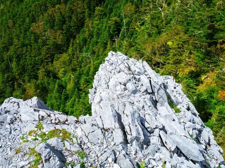 光岩(てかりいわ) 光岩(てかりいわ)の写真