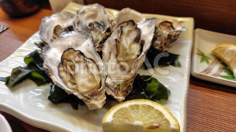 おいしそうな牡蠣 牡蠣,蒸し牡蠣,海の幸の写真素材