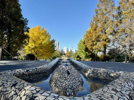 山下公園　水の階段 山下公園,横浜,秋の写真素材