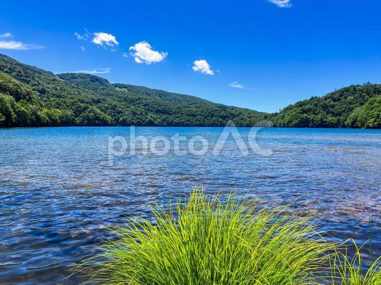 丸沼　群馬県片品村 丸沼,沼,湖の写真素材