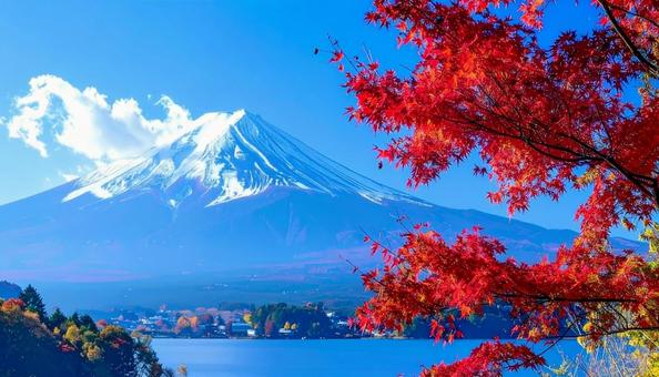赤いもみじと富士山 赤いもみじと富士山の写真