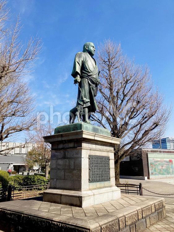 東京風景・上野公園 上野公園,上野恩賜公園,西郷隆盛像の写真素材