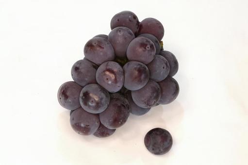 ピオーネ 植物,果物,ぶどうの写真素材