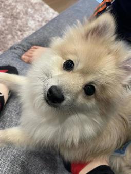 こっちみんなし こっちみんなしの写真