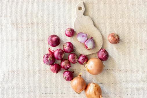 真上から見たカットされた玉ネギ 真上から見たカットされた玉ネギの写真