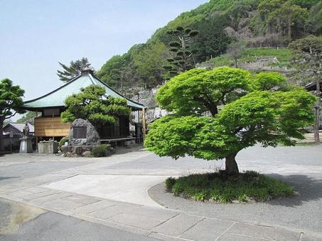 Photo, daizenji, jodo sect, shrines and temples, 