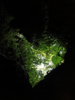洞窟ハートの写真