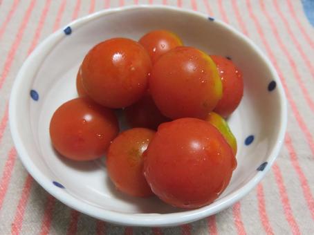 ミニトマト ミニトマトの写真
