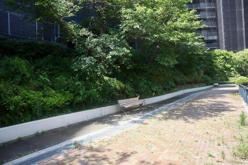 木陰の下のベンチ ベンチ,小道,道路の写真素材