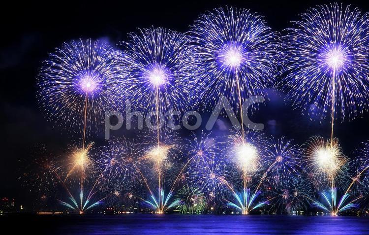 鮮やかな湖上打ち上げ花火/松江水郷祭 打ち上げ花火,花火,松江水郷祭の写真素材