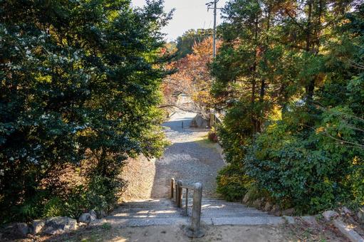 木々が色づきはじめた秋の山道 山,道,秋の写真素材