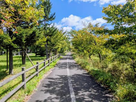 自然の中サイクリング 自然の中サイクリングの写真