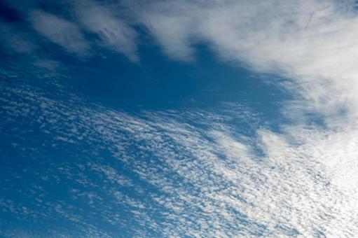 秋の空と雲 秋の空と雲の写真