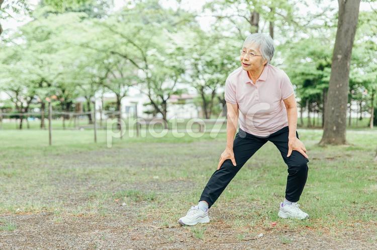 運動をする高齢者女性（屈伸・全身） 屈伸,屈伸運動,膝痛体操の写真素材