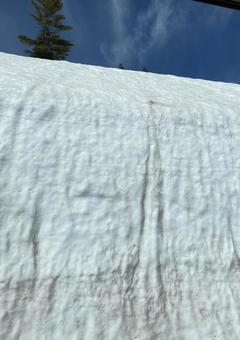 雪壁と青空 雪壁と青空の写真