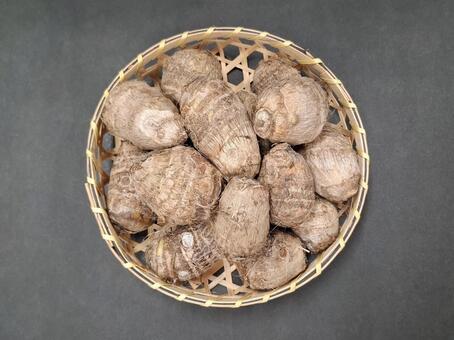 里芋_黒バック_5 秋,野菜,里芋の写真素材