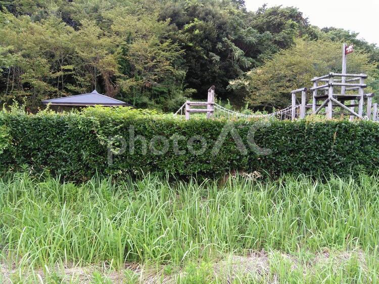 公園と生垣 自然,庭園,草の写真素材