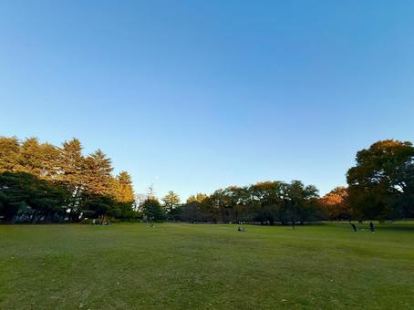秋の砧公園の絶景とブルースカイ 砧公園,公園,青空の写真素材