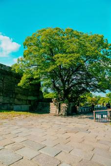 【大阪】大阪城公園の雰囲気 大阪城,お城,城の写真素材