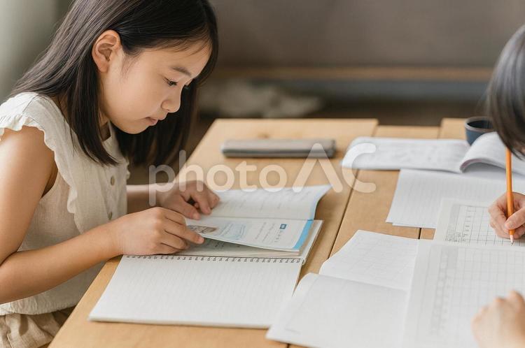 勉強をする小学生・女子中学生（夏休み） 勉強,学習,宿題の写真素材