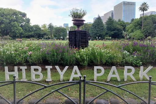 日比谷公園 日比谷公園,花,花壇の写真素材
