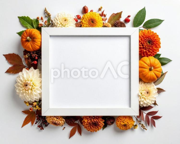 秋の花 フレーム,フラワー,囲みの写真素材