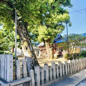 神社 神社,樹木,宗教の写真素材