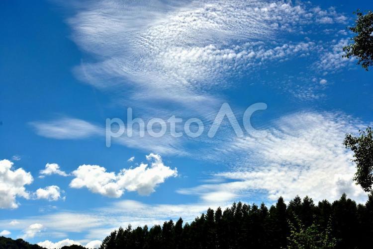 夏の戦場ヶ原（栃木日光） 草原,雲,空の写真素材