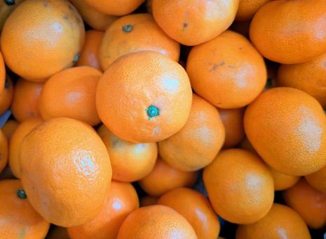 みかん みかん,オレンジ,橙の写真素材