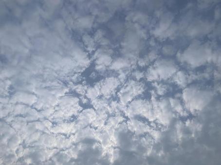空の雲 空の雲の写真