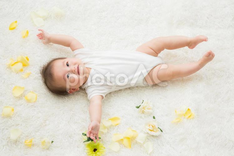 花びらと赤ちゃん（笑顔） 赤ちゃん,花,笑顔の写真素材