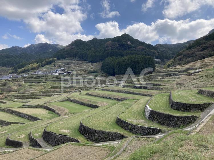 鬼木の棚田 棚田百選,鬼木,長崎県の写真素材