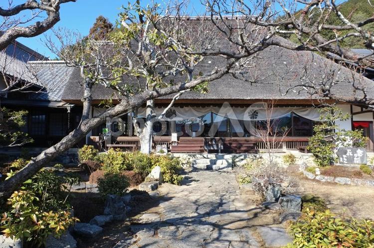 冬の禅定寺 禅定寺,京都府,綴喜郡の写真素材